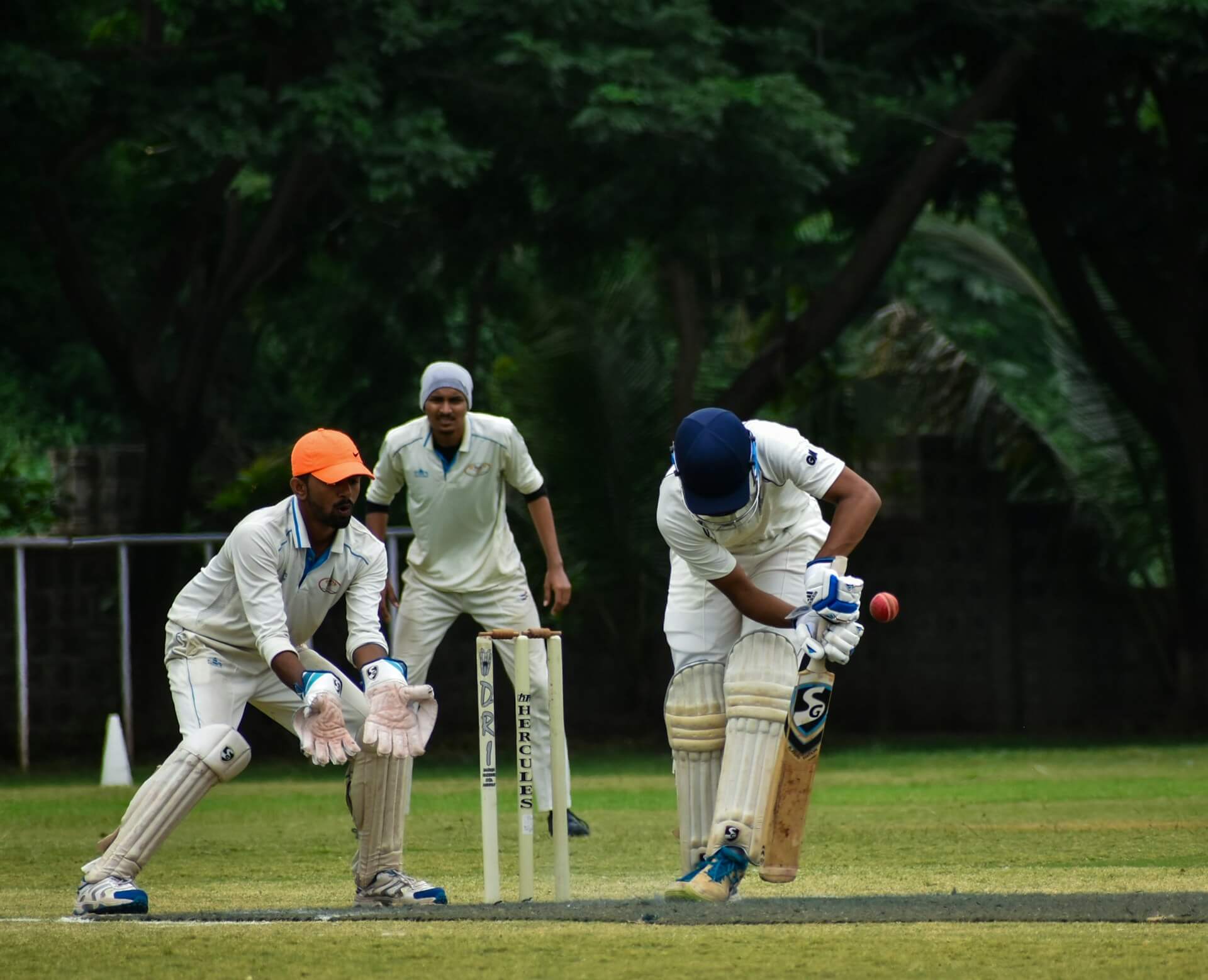 cricket-match