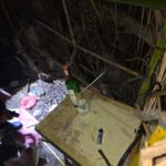 IMG-20260425-WA0002