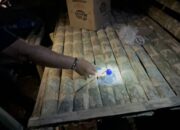Dapat Laporan Warga, Satresnarkoba Polres Langkat Sisir Lokasi Diduga Jadi Tempat Penyalahgunaan Narkoba